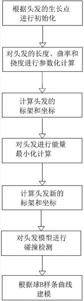 Hair modelling modeling method based on static supercoiling model