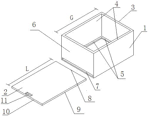 Paris polyphylla seedling cultivation method capable of avoiding paris polyphylla radicle damage