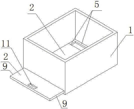 Paris polyphylla seedling cultivation method capable of avoiding paris polyphylla radicle damage