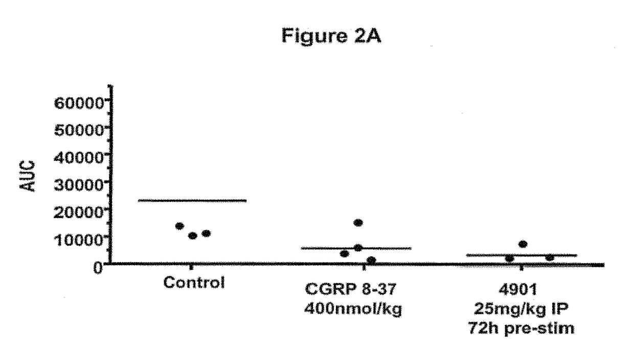 Antagonist antibodies directed against calcitonin gene-related peptide and methods using same