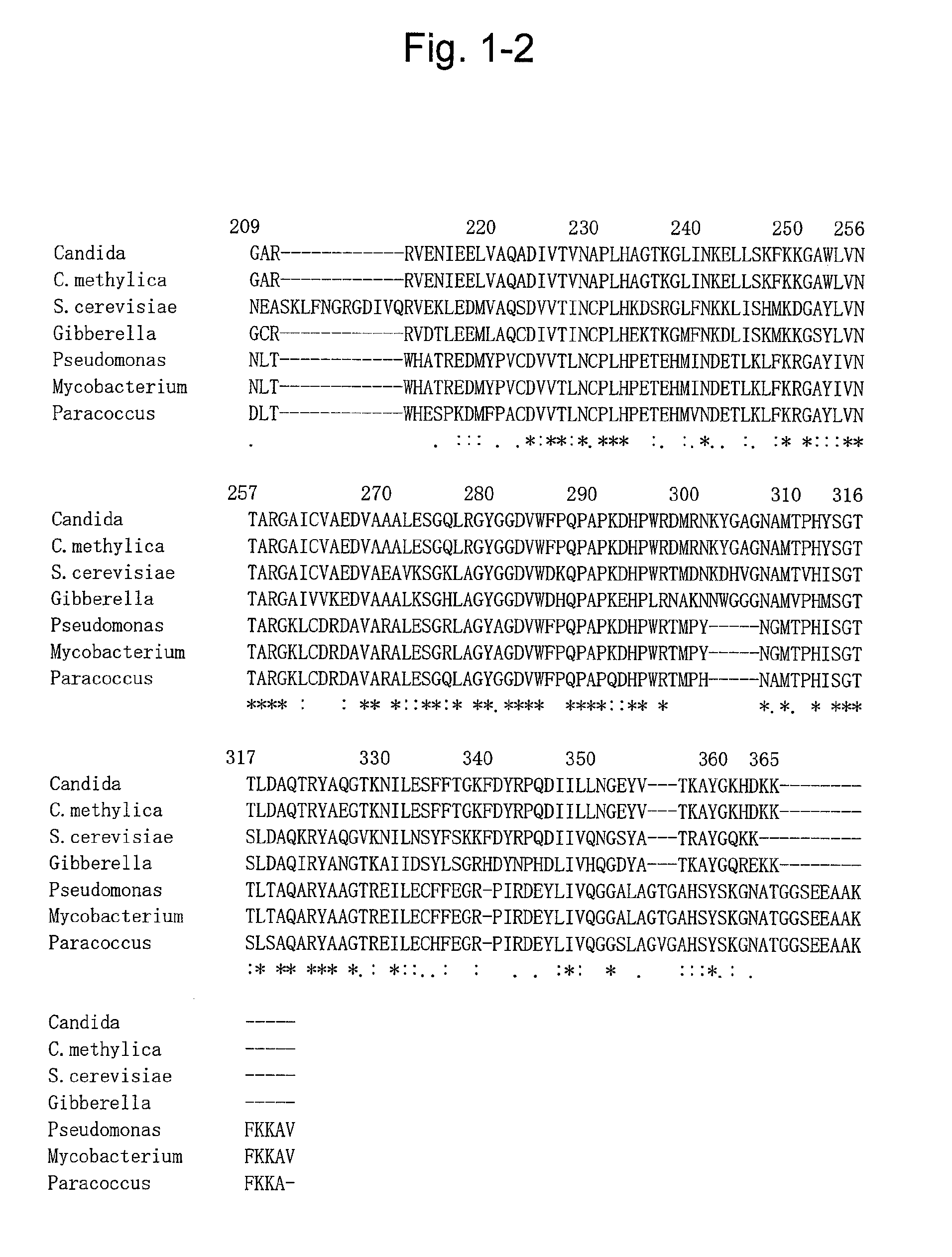 Mutant formate dehydrogenase, gene encoding the same, and method for producing NADH