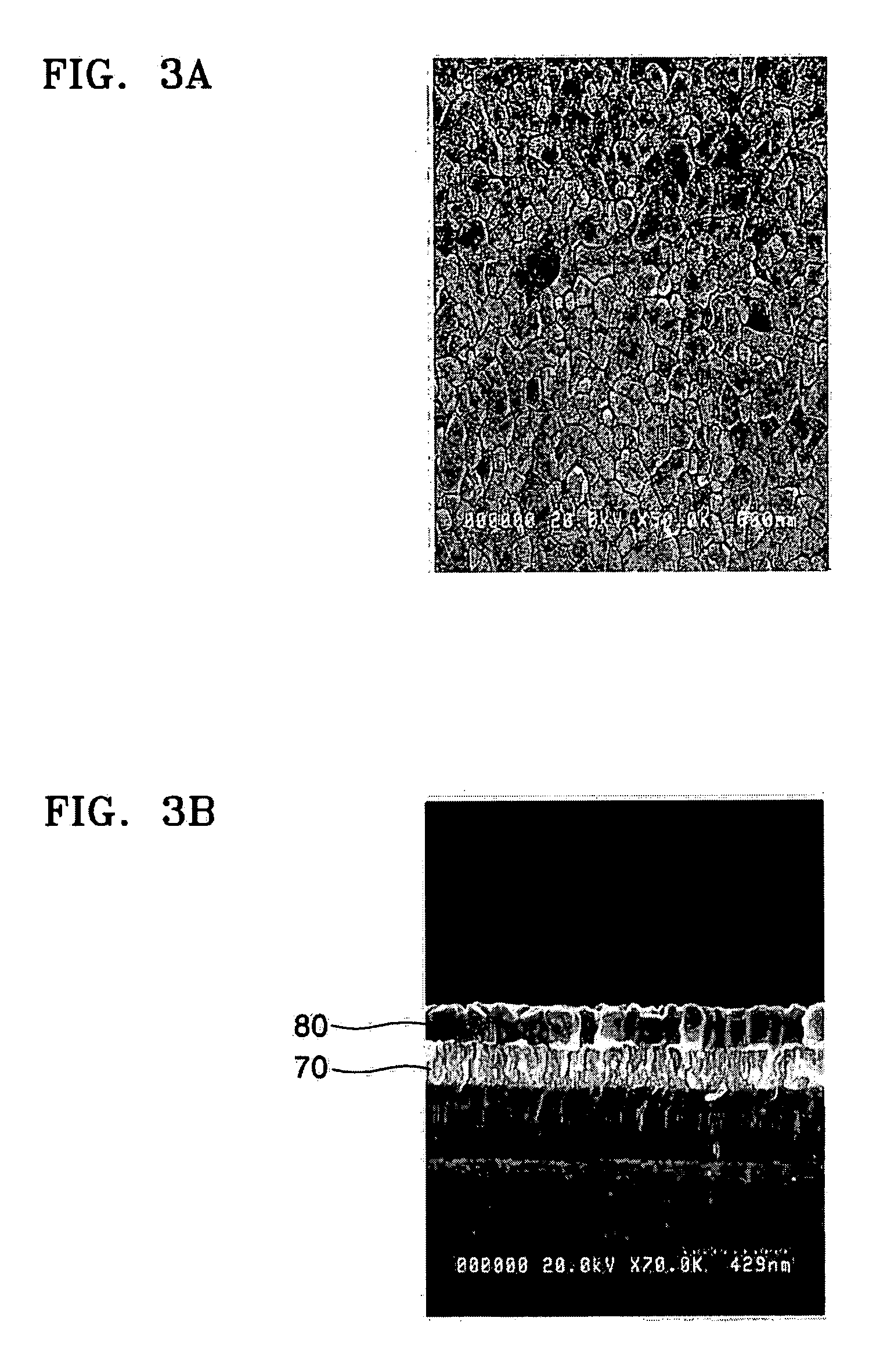 Capacitor of a semiconductor device, memory device including the same and method of munufacturing the same