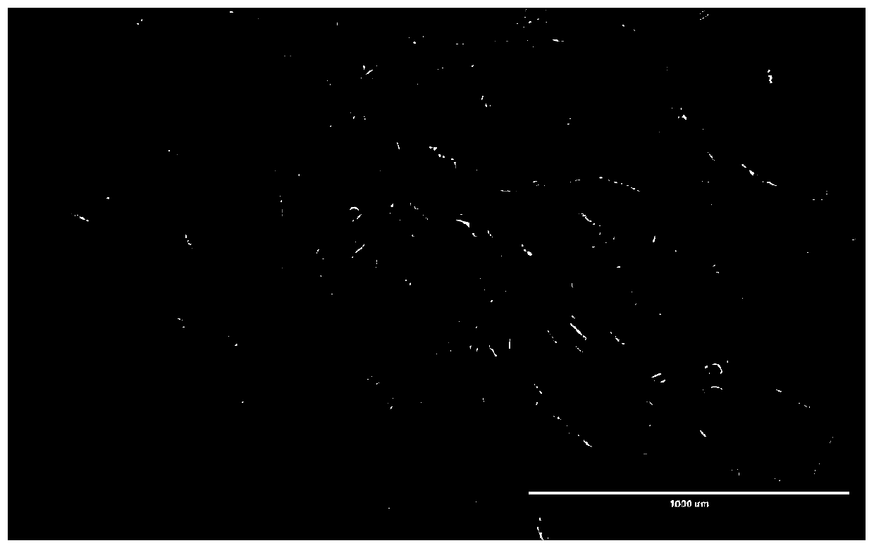 Isolated culture and neural directional differentiation method of deciduous tooth pulp stem cells