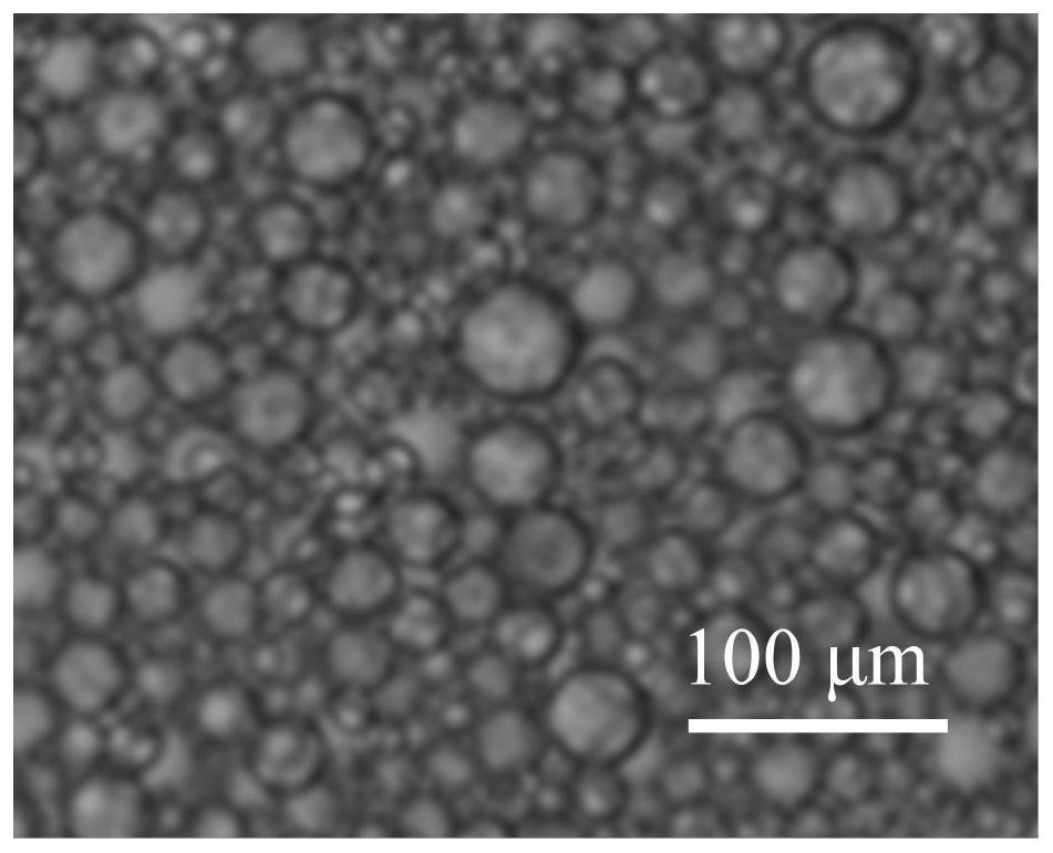 Preparation method of in-situ nano emulsifier and oil reservoir application method