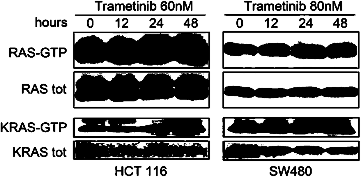 Combined drug for treating tumors