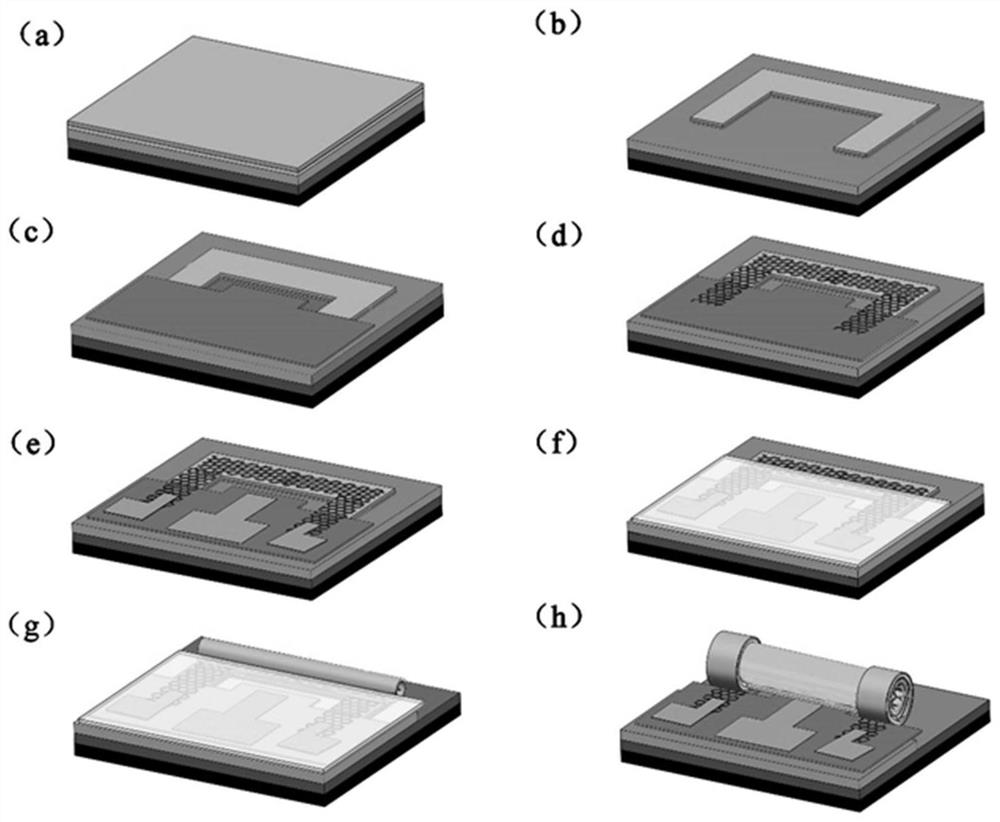 A micropipe three-dimensional heterojunction device structure and its preparation method and application