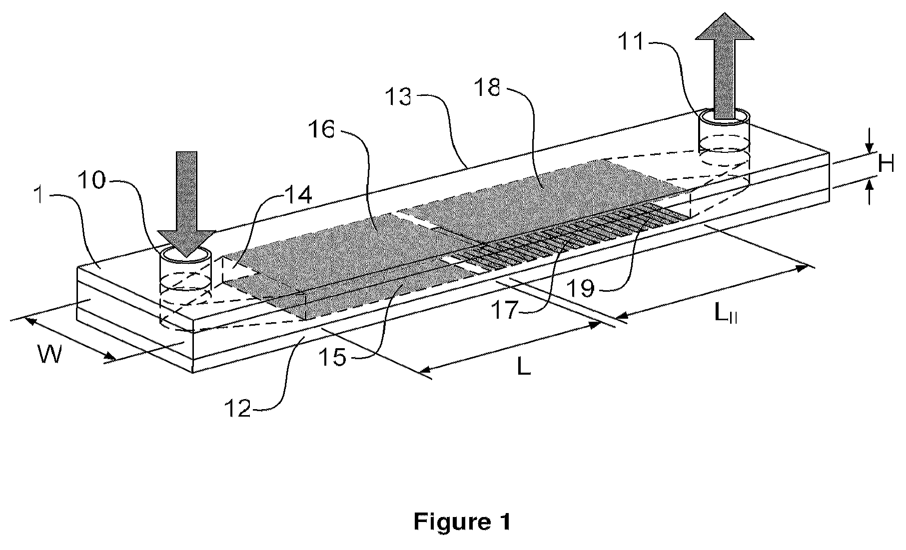 Cell concentration, capture and lysis devices and methods of use thereof