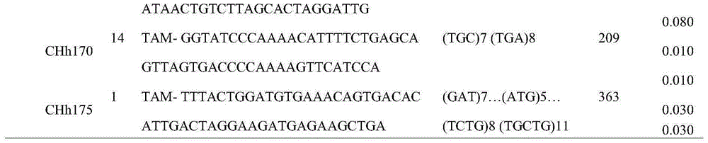 Method for carrying out parentage identification and paternity identification by utilizing multiple haliotis discus hannai Ino fluorescence-labeled microsatellite