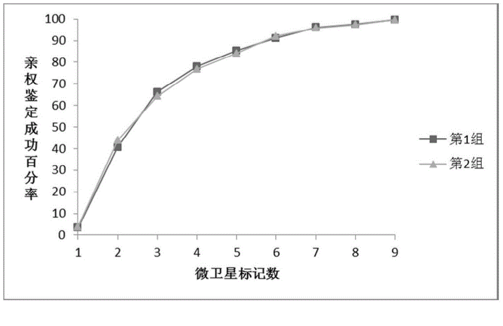 Method for carrying out parentage identification and paternity identification by utilizing multiple haliotis discus hannai Ino fluorescence-labeled microsatellite