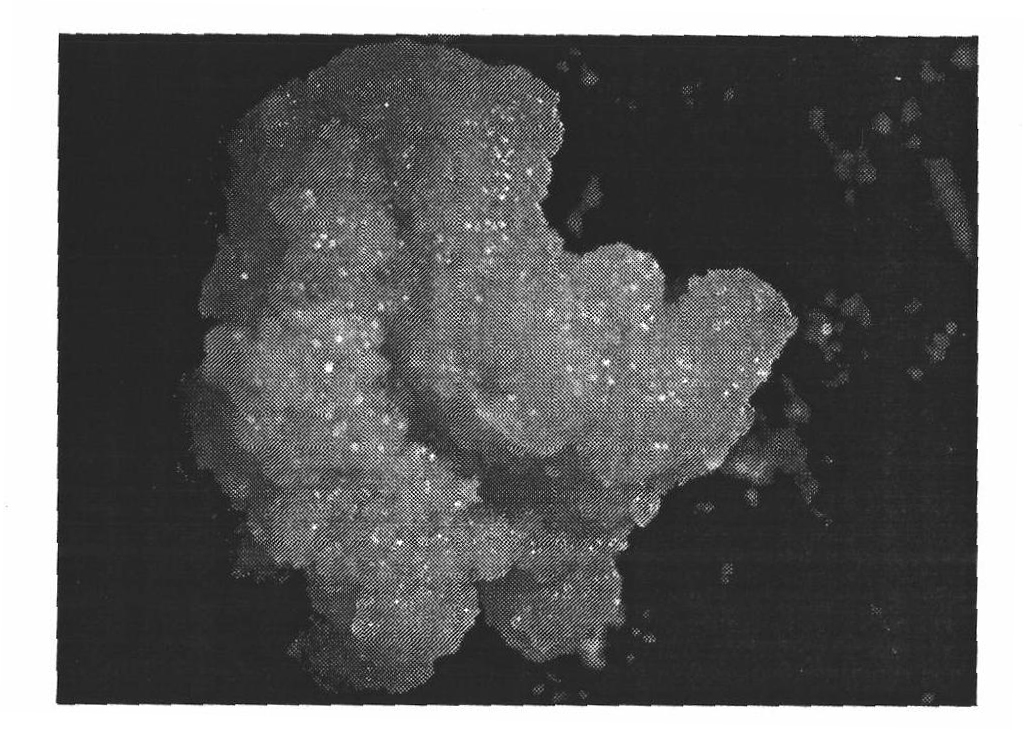 High-frequency somatic embryo regeneration culture method for overcoming alfalfa variety genotype limitation