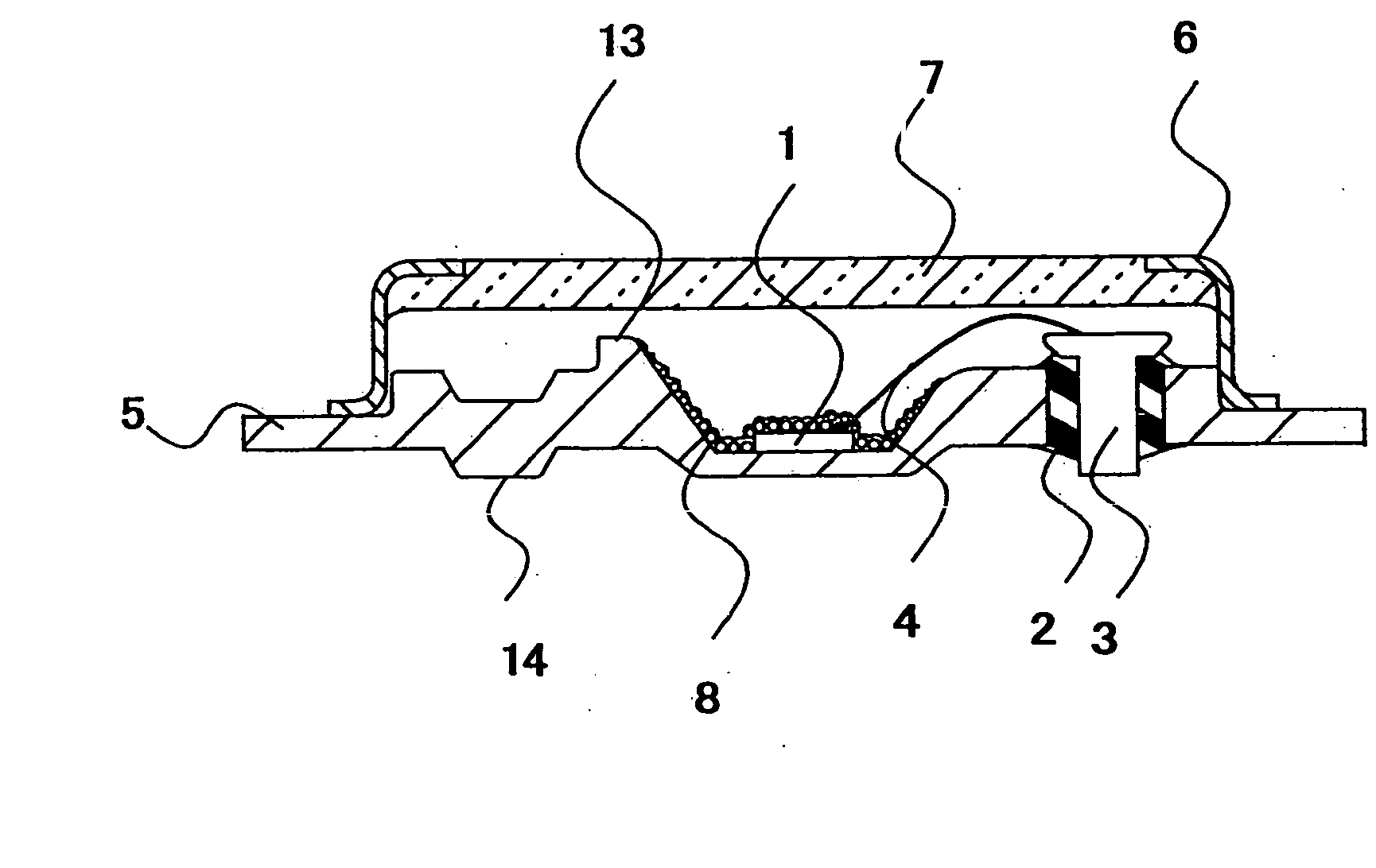 Light emitting device using fluorescent substance