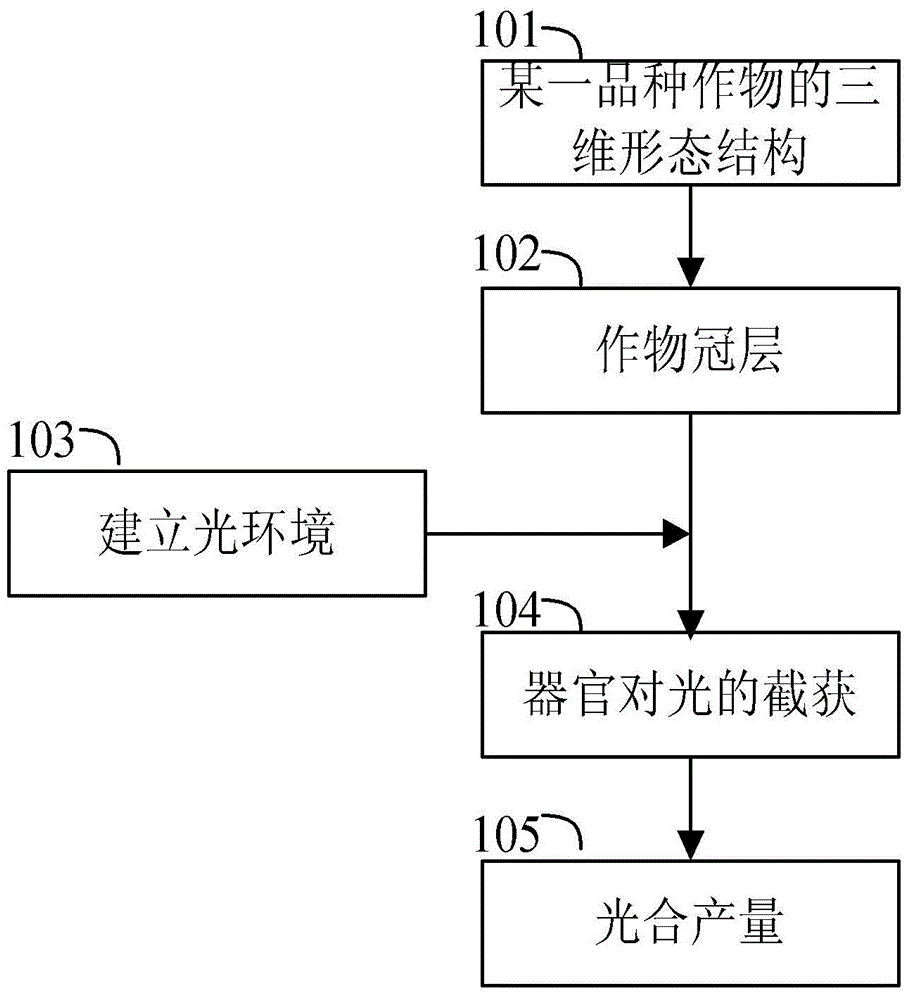 Variety analyzing method based on canopy light distributed computing