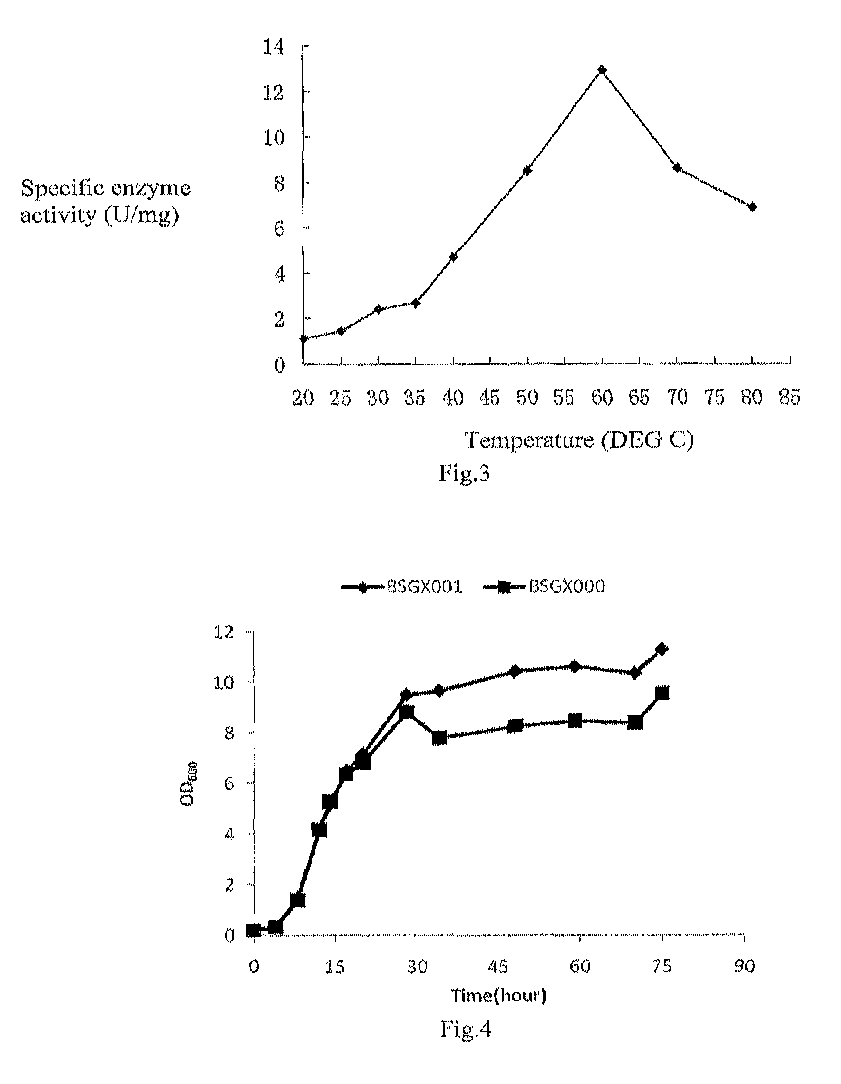 Nucleic acid molecule encoding xylose isomerase and xylose isomerase encoded by the nucleic acid molecule