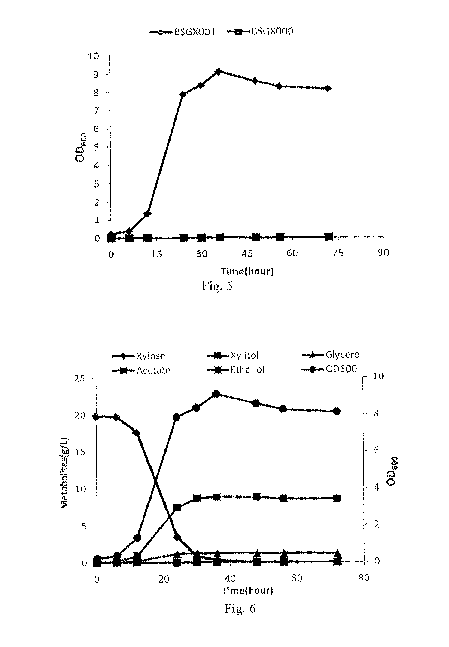 Nucleic acid molecule encoding xylose isomerase and xylose isomerase encoded by the nucleic acid molecule