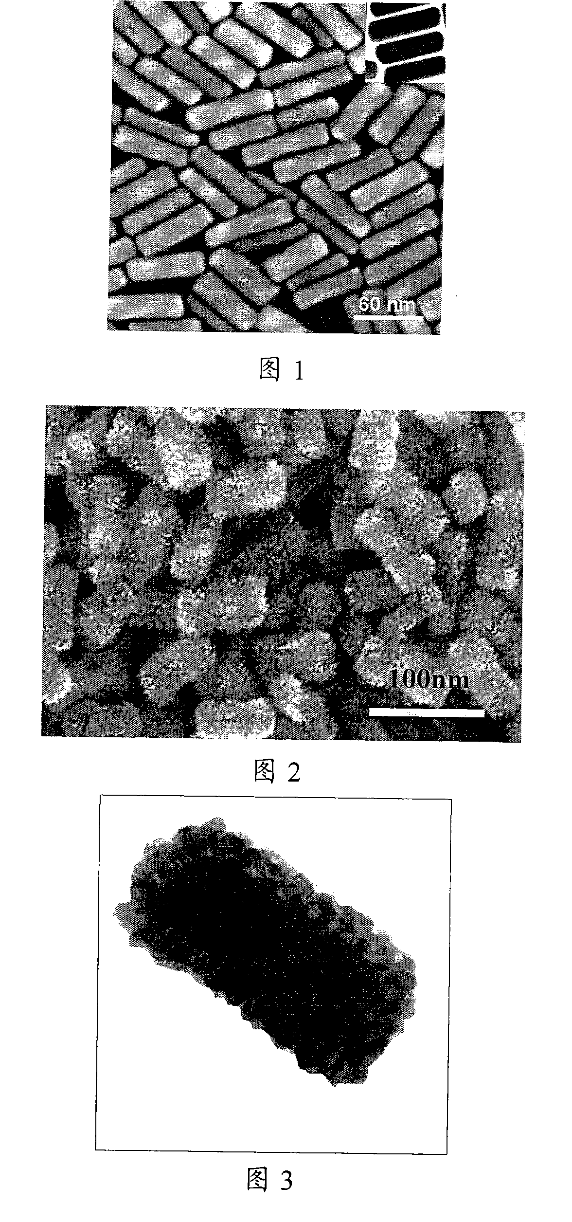 Preparation method of bimetal nano rod of branched gold core/platinum shell structure