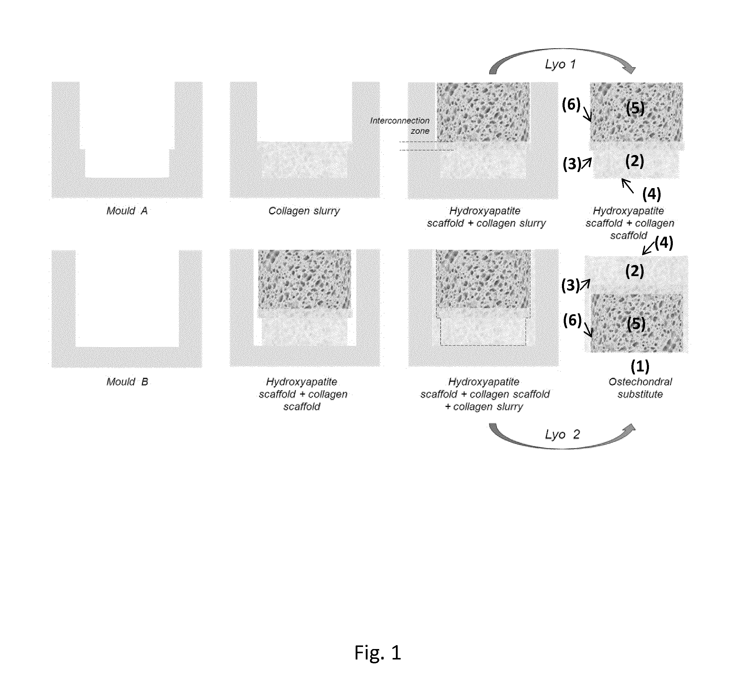 Composite scaffold for tissue repair