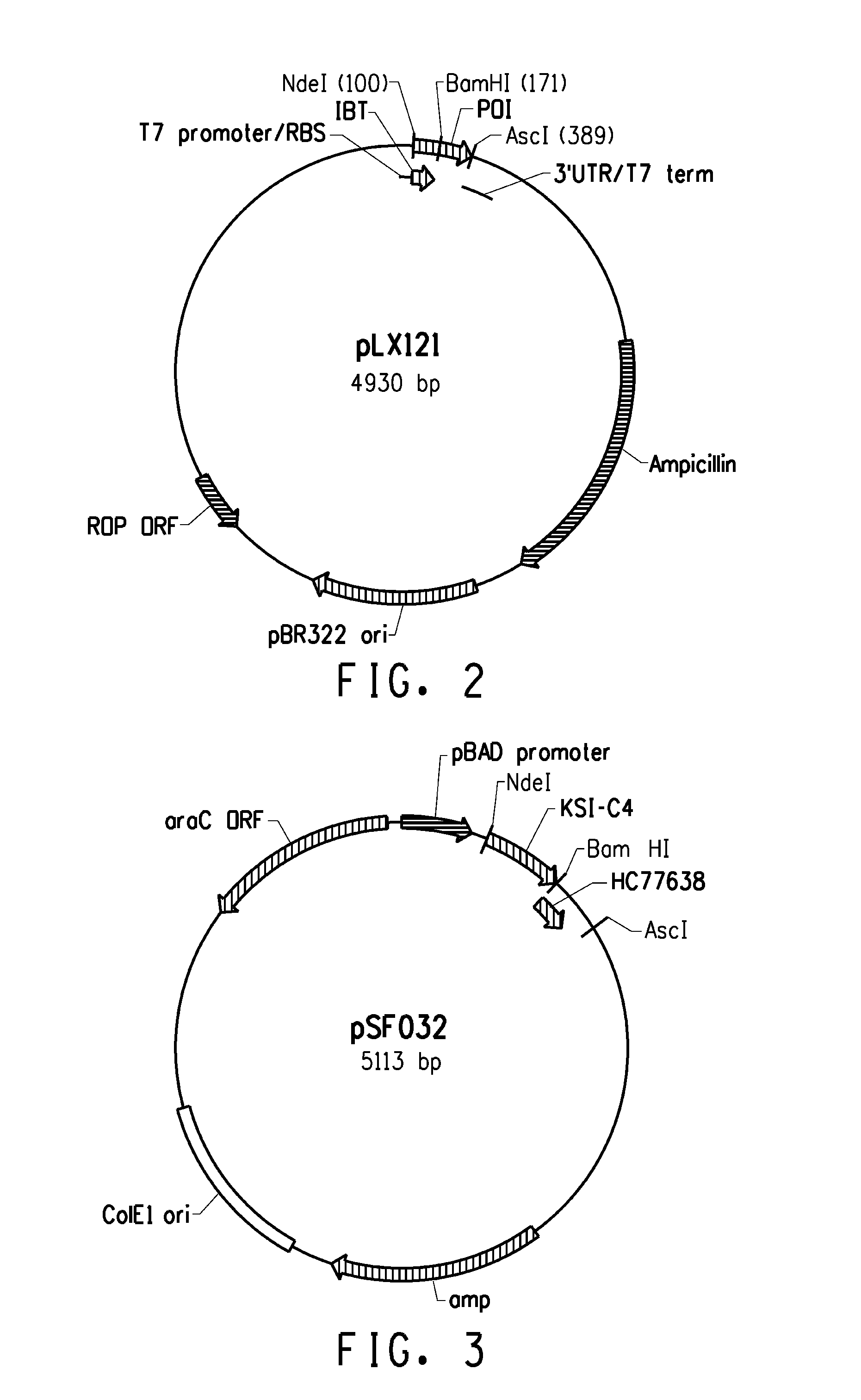 Solubility tags for the expression and purification of bioactive peptides