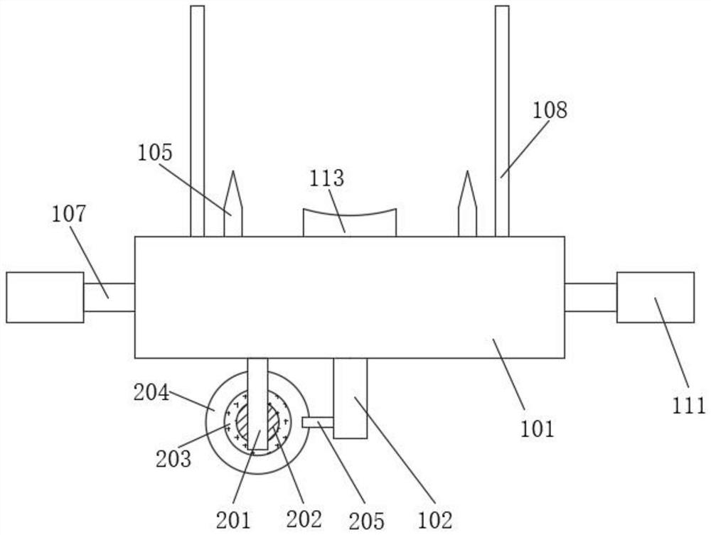 An improved mulberry bud grafting process based on sheet bud grafting