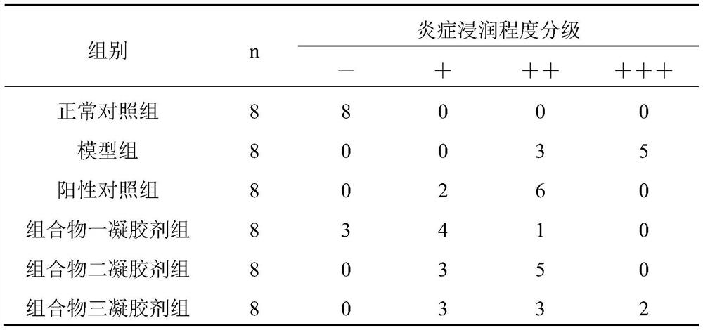 Composition for relieving and treating acne and application thereof