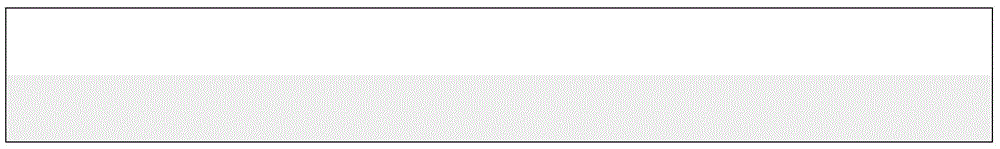 Printing method of biological chip and application of biological chip