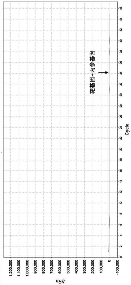 Relative quantification method and kit for detecting copy number of human DMD gene by multiple real-time fluorescence PCR