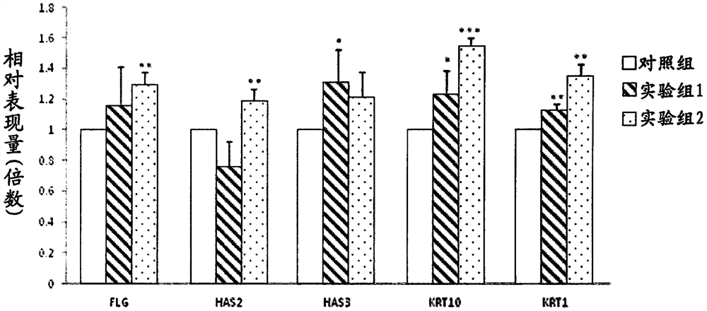 Use of selaginella tamariscina extract for improving gene expression, mitochondrial activity of cells, skin moisturizing ability and aging resistance