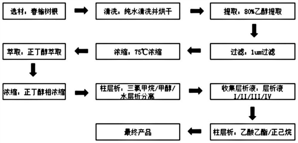 Method for extracting bakuchiol from elm roots and purifying bakuchiol and application of bakuchiol in cosmetics