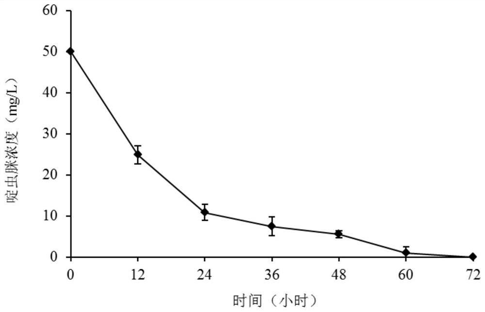 Protective agent for acetamiprid-degrading bacteria, preparation method and application thereof