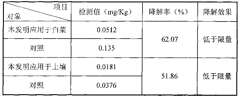 Rhodobacter strain and application thereof