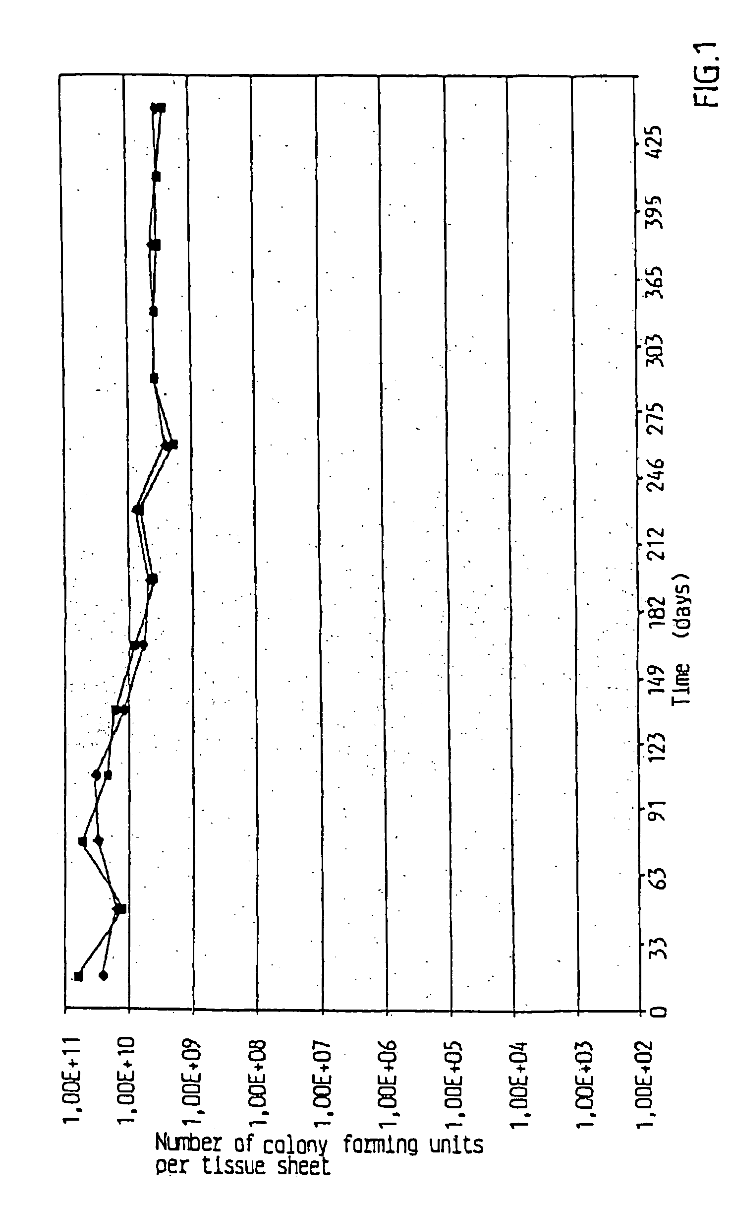 Hygiene tissue with lactic acid producing bacterial strains