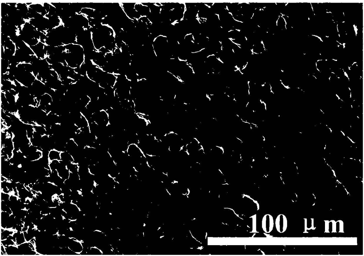 Carbon sponge and preparation method thereof, and pressure sensor