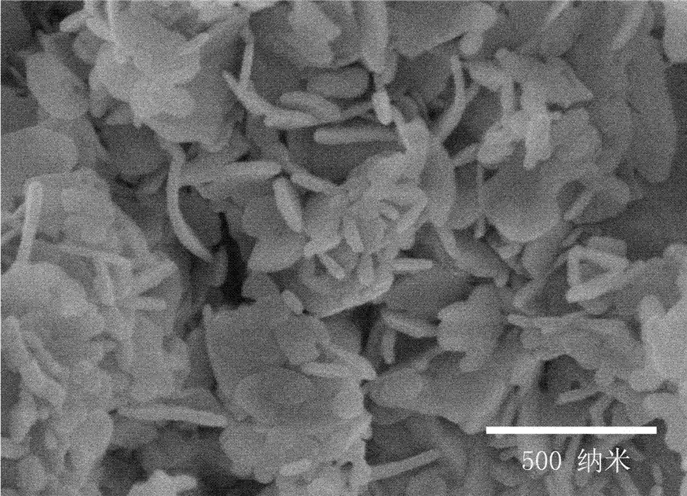 A method for synthesizing bismuth oxycarbonate nanosheets by solid phase chemical reaction at room temperature