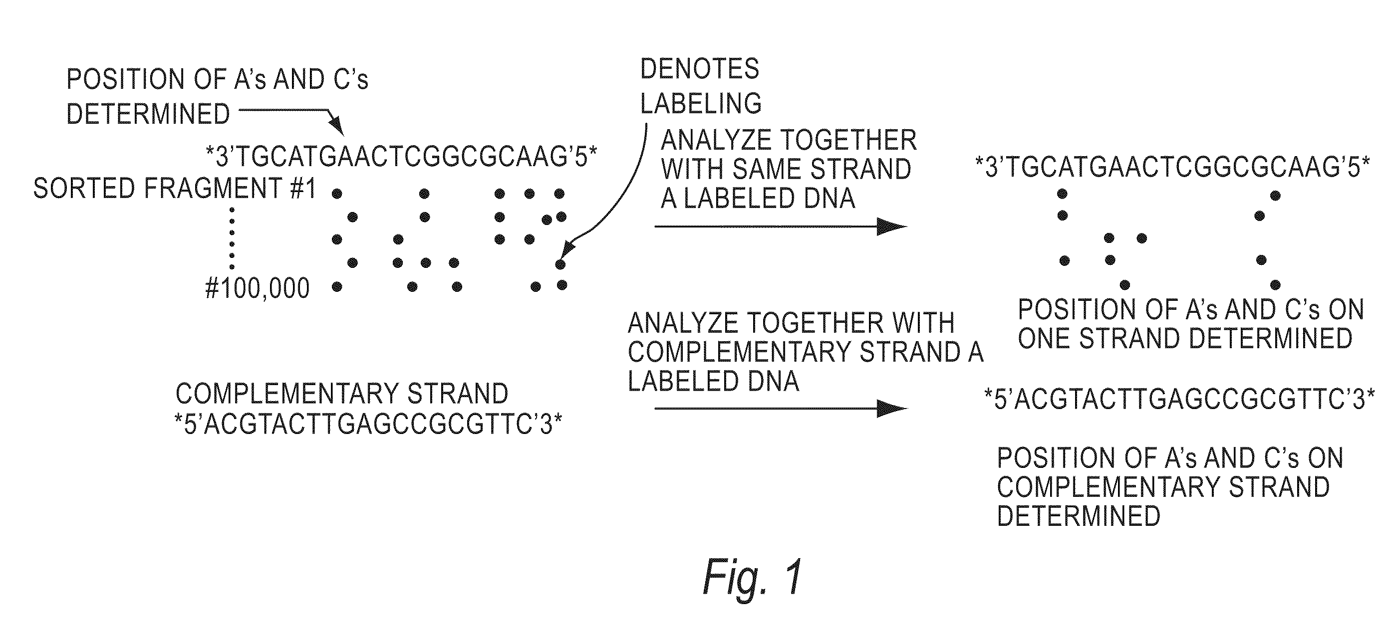 Methods and Products for Analyzing Polymers