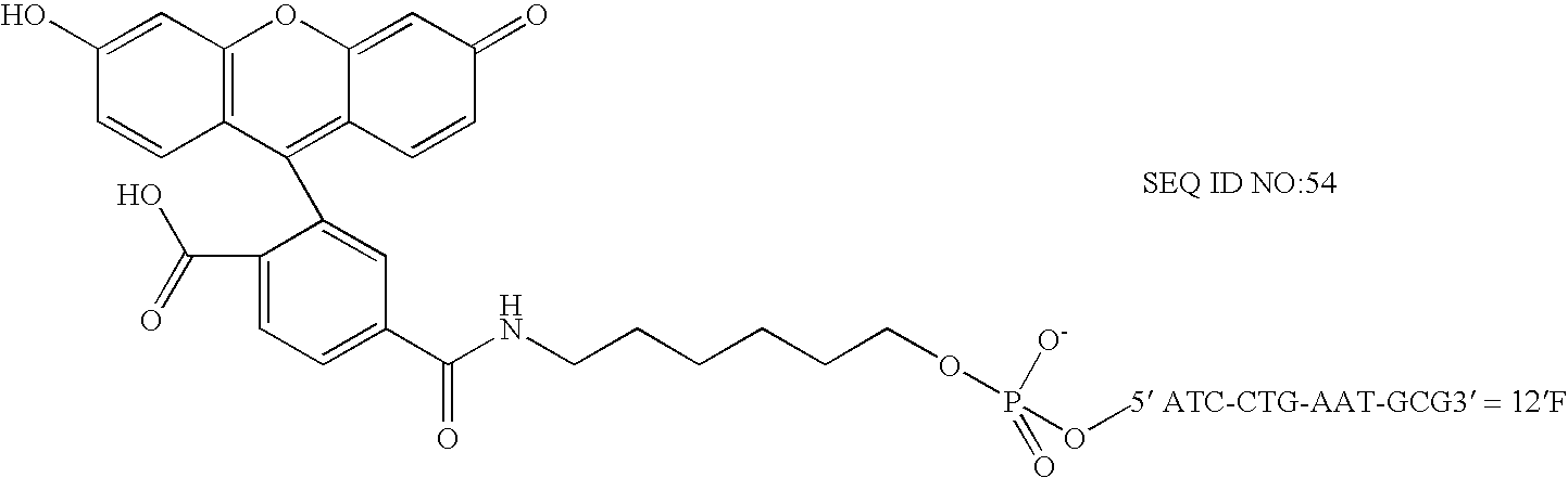 Nanoparticles having oligonucleotides attached thereto and uses therefor