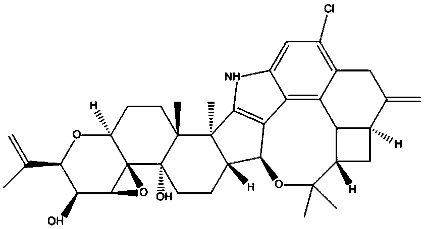 Preparation and application of a penicillin-tremorin binding antigen and its antibody