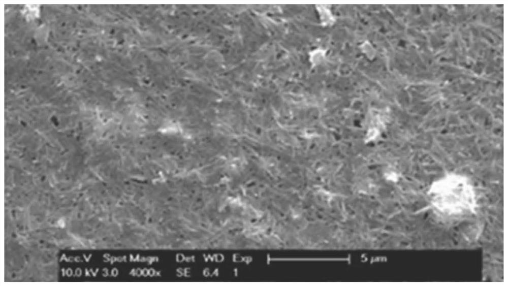 Method for preparing attapulgite-based biodegradable plastic