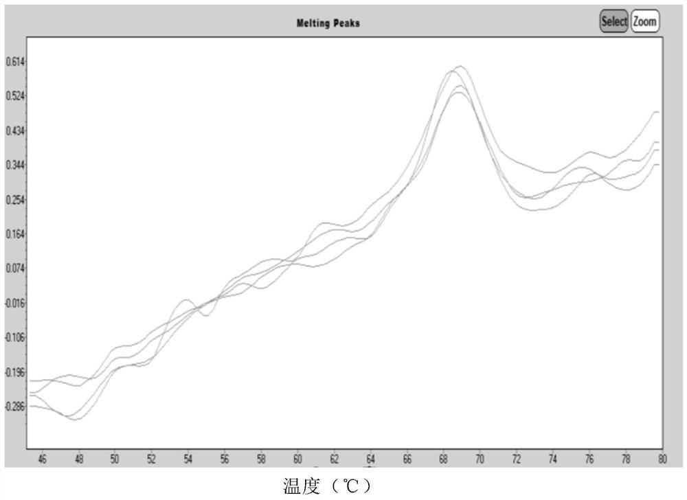 Human coronavirus nucleic acid multiplex detection kit