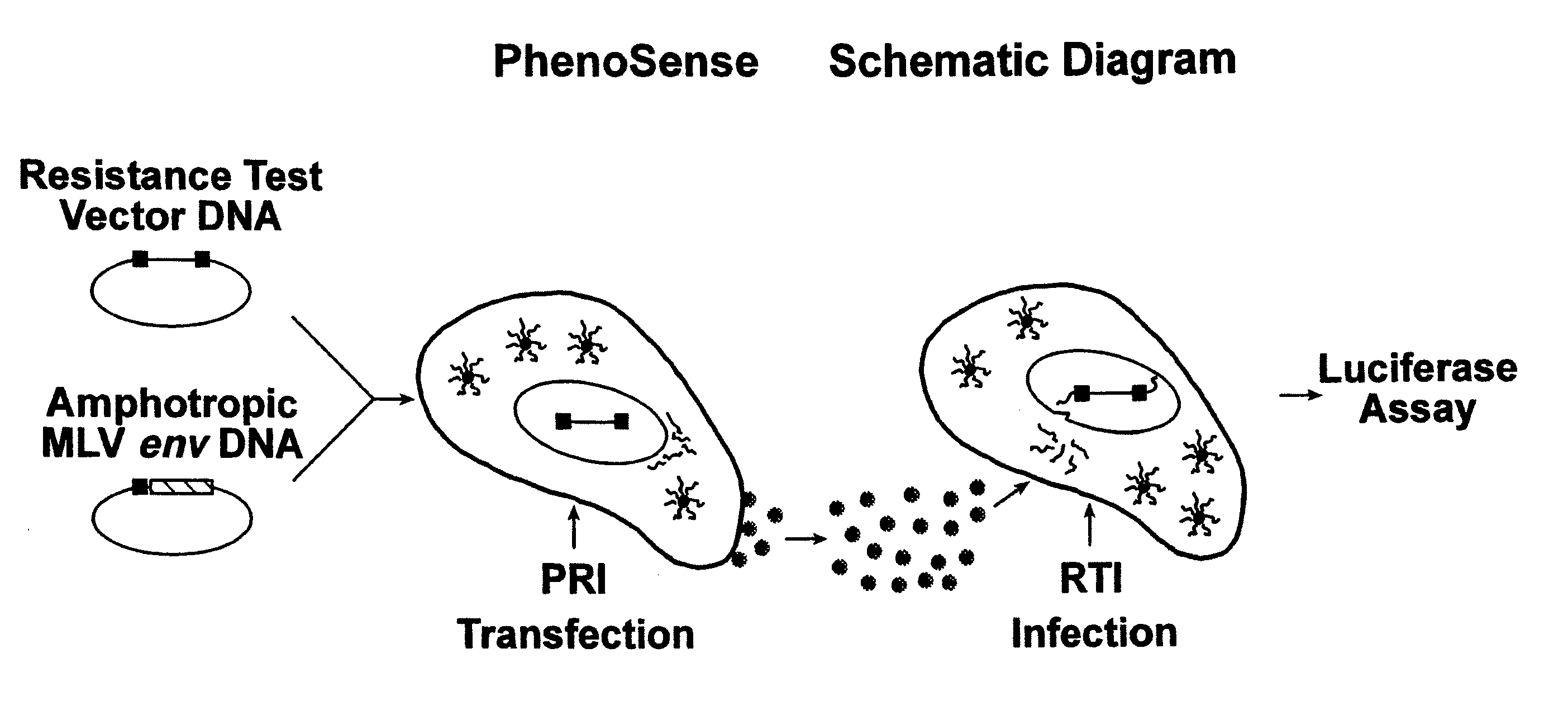 Means and methods for monitoring protease inhibitor antiretroviral therapy and guiding therapeutic decisions in the treatment of HIV/AIDS