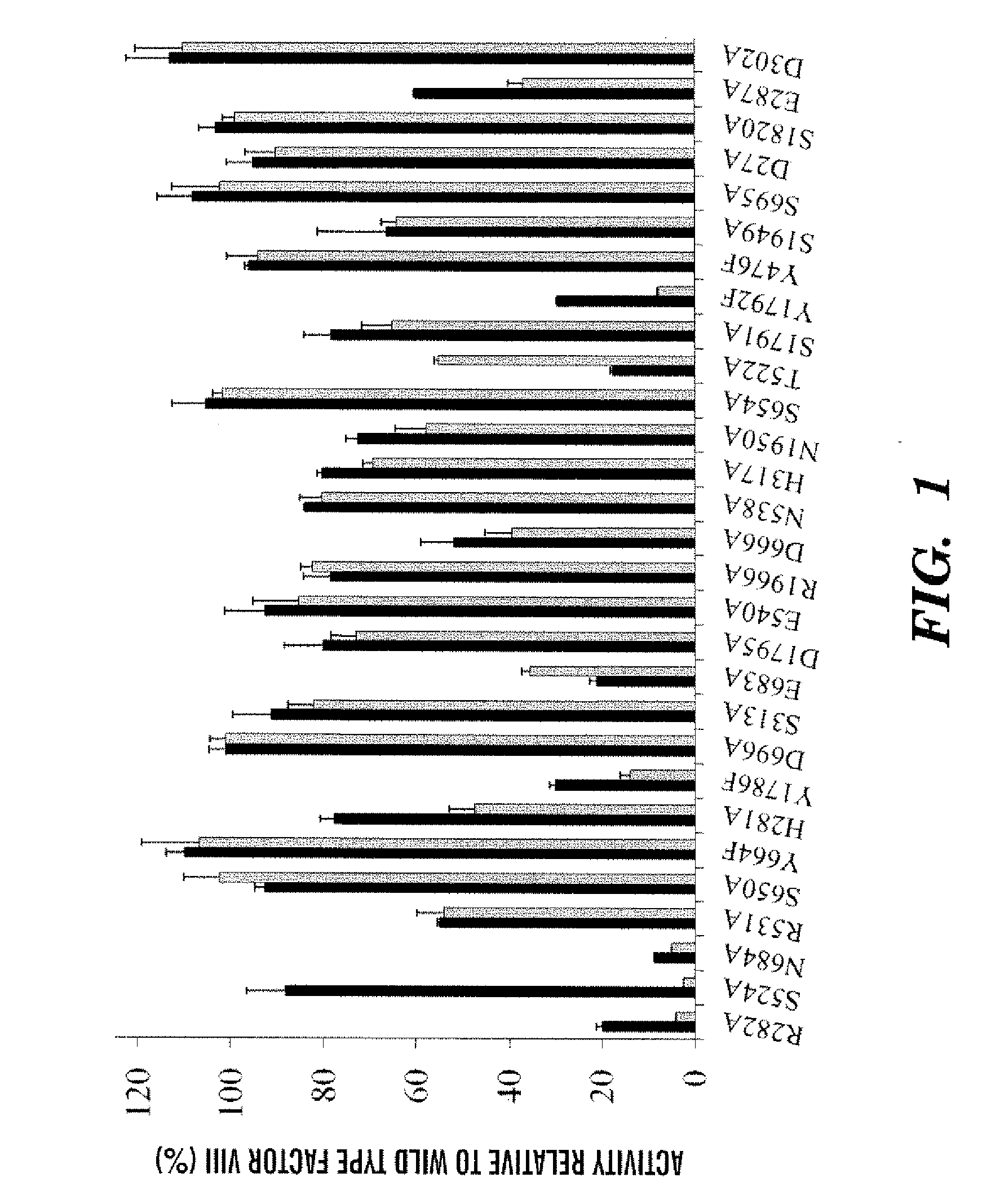 Recombinant factor viii having increased stability