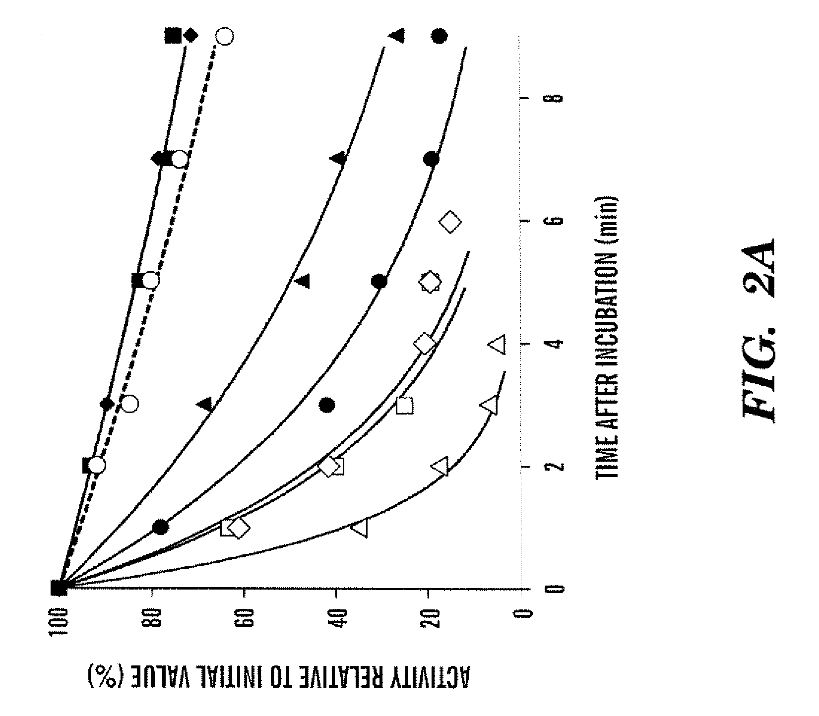 Recombinant factor viii having increased stability