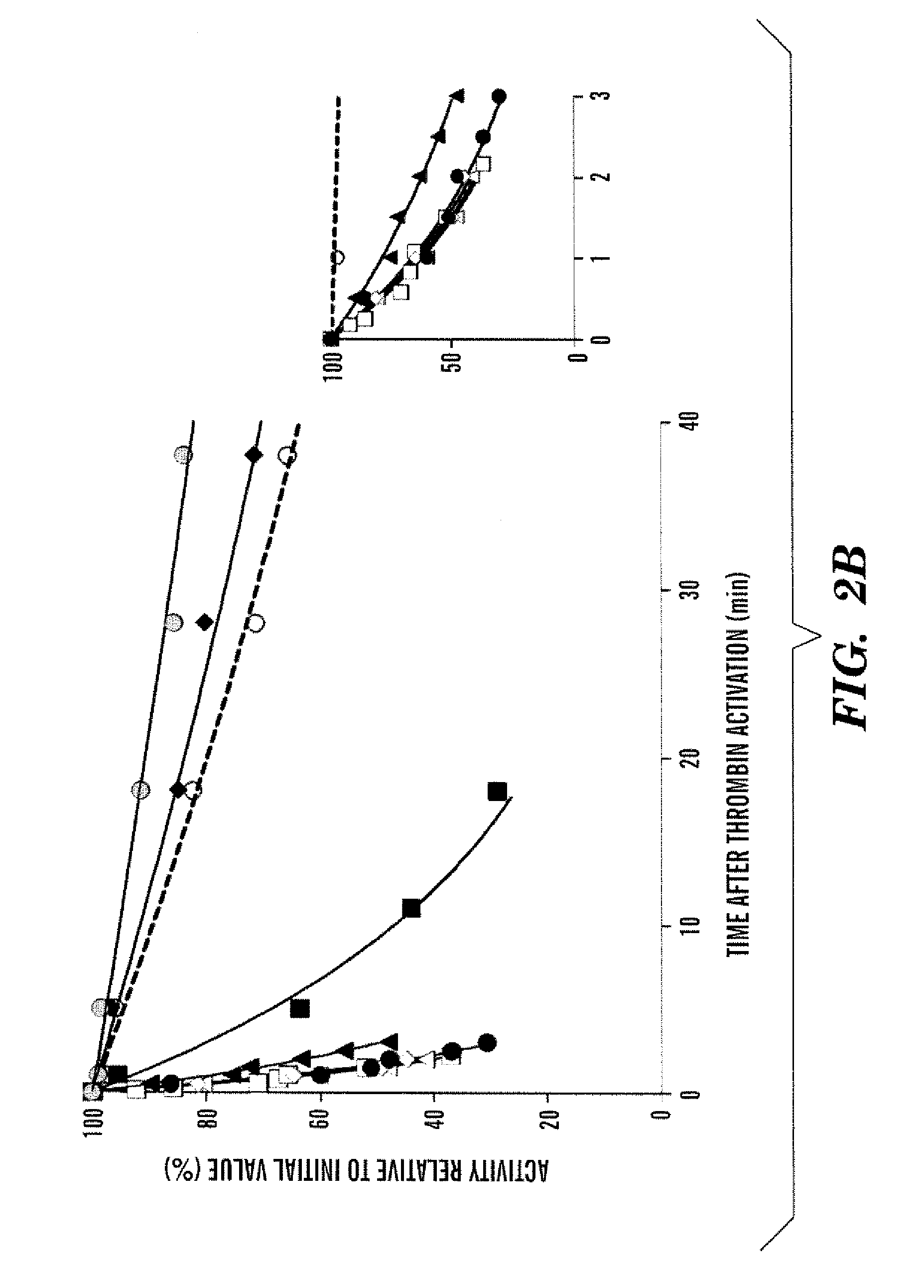 Recombinant factor viii having increased stability