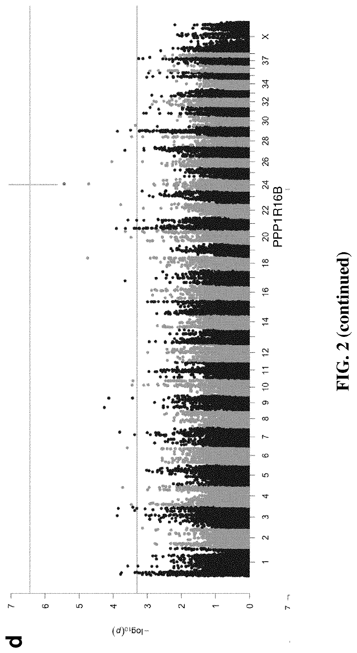 Method to predict heritable canine non-contact cruciate ligament rupture