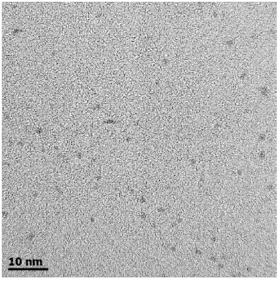 Fluorescent silver nanocluster as well as preparation method and application thereof