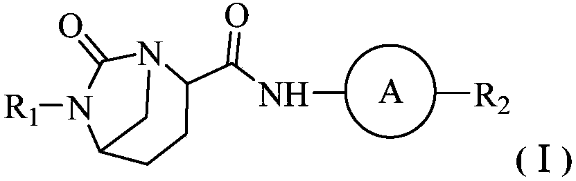 Antibacterial combination and application thereof