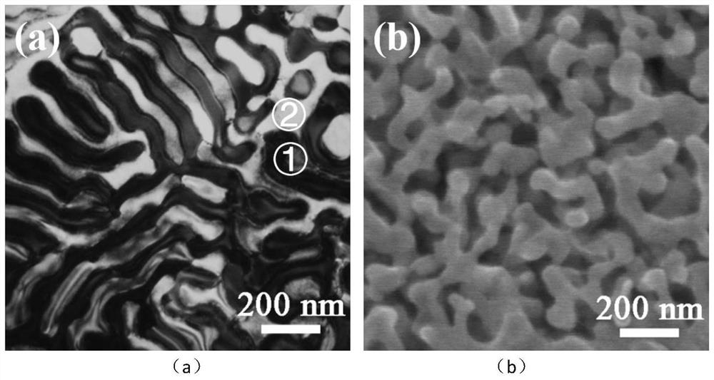 Zr-based micro/nano porous alloy and preparation method thereof