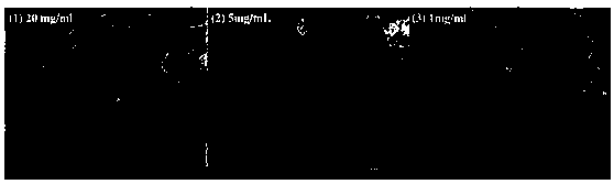 A kind of preparation method of lignin-based high specific surface area carbon material