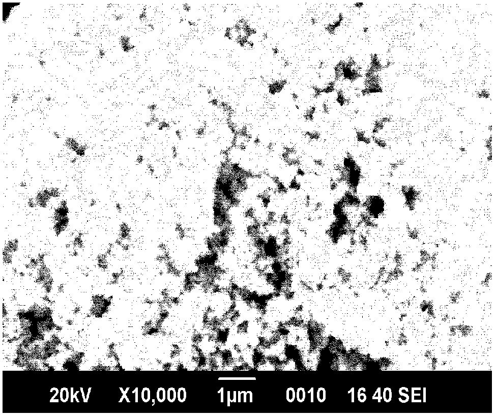 Double-function oxygen electrode catalyst of lithium air battery