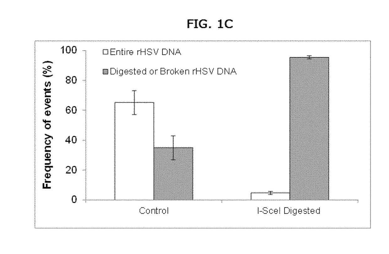 Method for the monitoring of modified nucleases induced-gene editing events by molecular combing