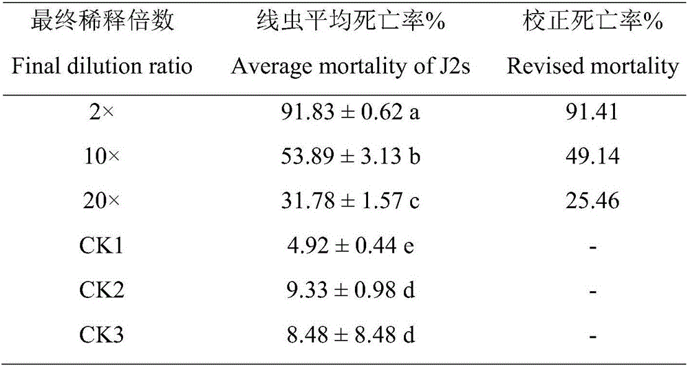 Oxalic acid penicillium NBC008 with nematocidal activity, and preparation method and application thereof