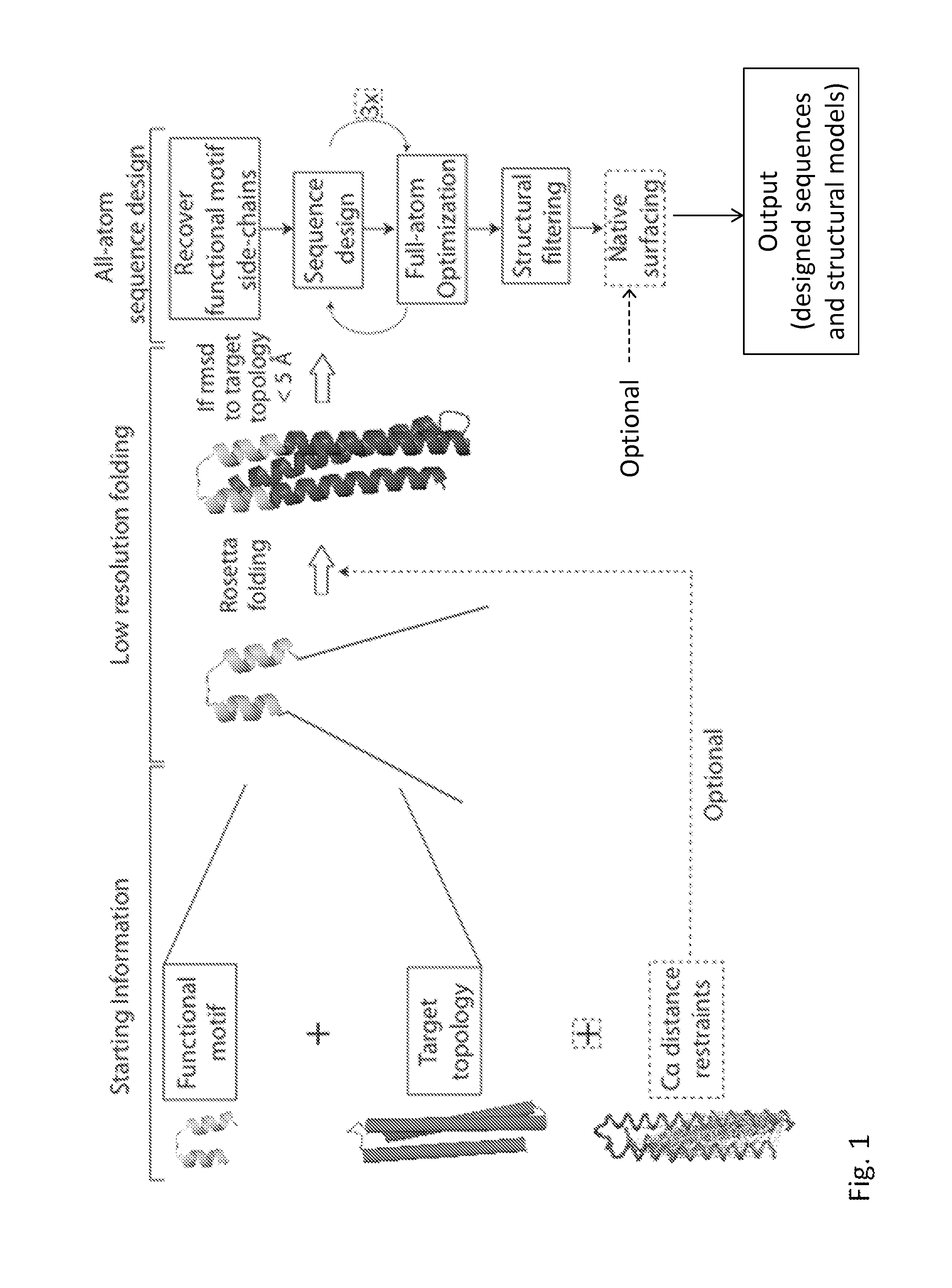 Epitope-Scaffold Immunogens Against Respiratory  Syncytial Virus (RSV)